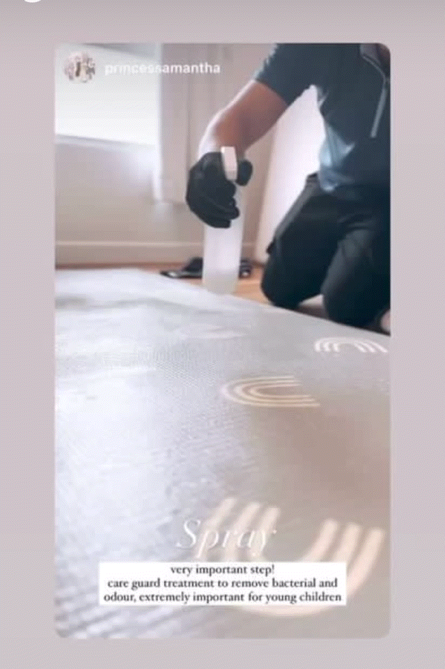 Instagram Reel of Carpet Rug Cleaning