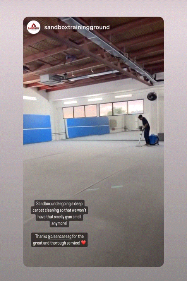 Deep Carpet Cleaning Review from Instagram